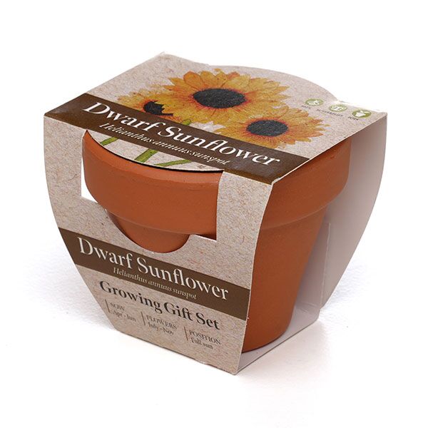 Terracotta Flower Pot - Image 2