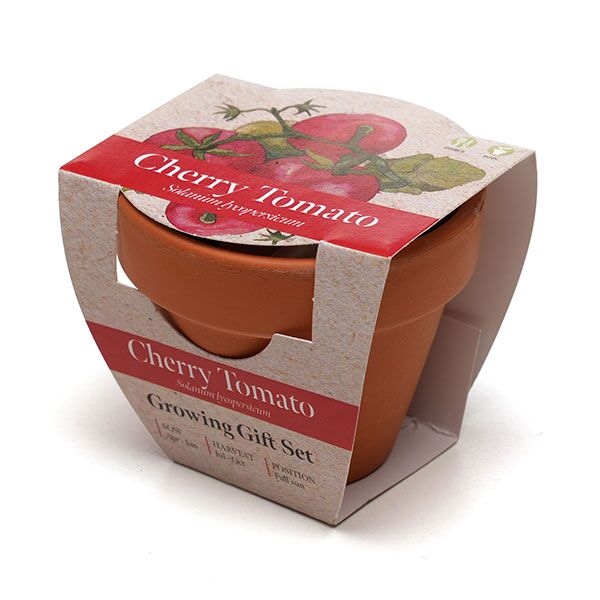 Terracotta Flower Pot - Image 9