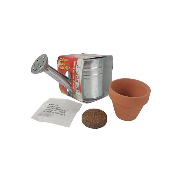 Zinc Bucket Watering Can