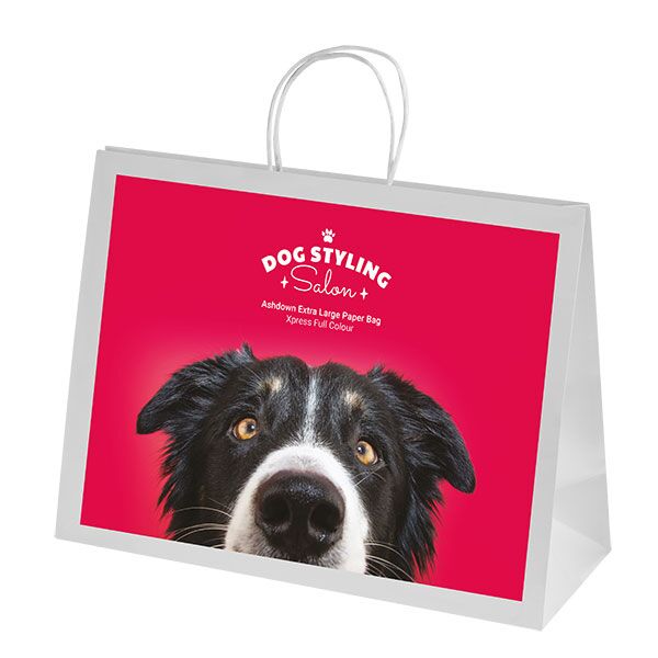 Ashdown White XL Paper Gift Bag - Full Colour