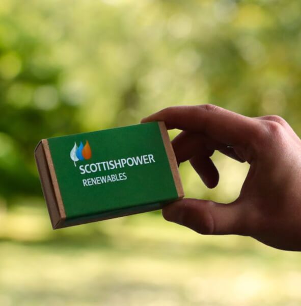 Bee-Shaped Seed Bombs