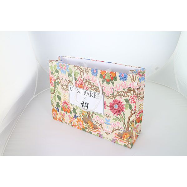 Landscape Laminated Paper Carrier Bag - Small