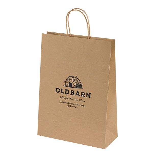 Ashdown Medium Kraft Paper Gift Bag - 1 Colour